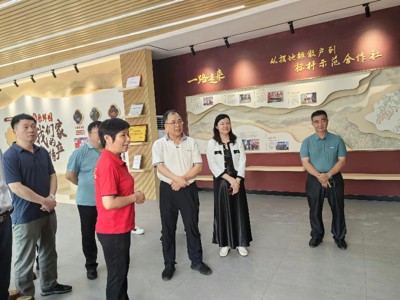 谢新添率市政协常委会调研组开展学习考察