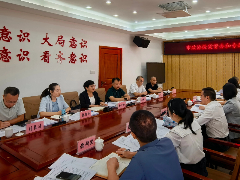 市政协副主席孙宇红开展提案督办和专题视察工作